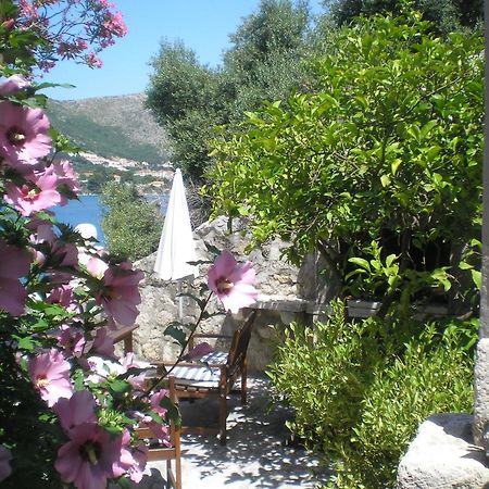 Villa Gverovic Stikovica Room photo